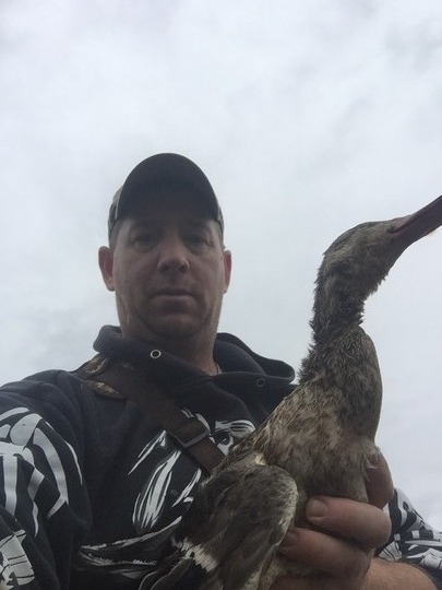 Canard colvert