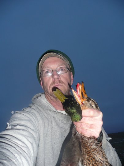 Canard colvert