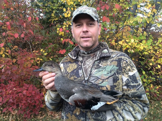 Canard chipeau