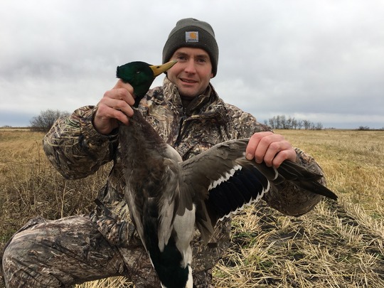 Canard colvert