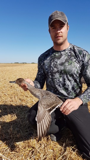 Canard pilet