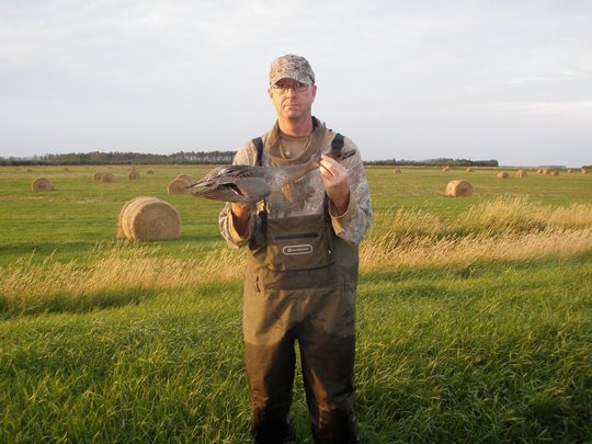 Canard pilet