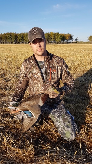 Canard colvert