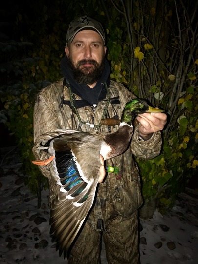 Canard colvert