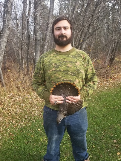 Tétras du Canada