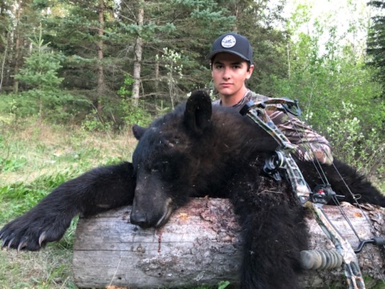 Ours noir mâle