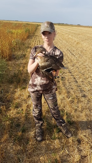 Canard colvert