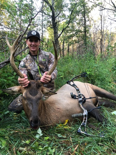 Wapiti