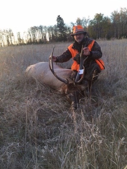 Wapiti