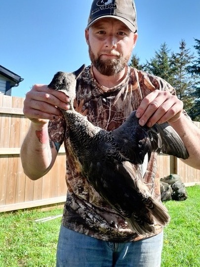 Canard chipeau