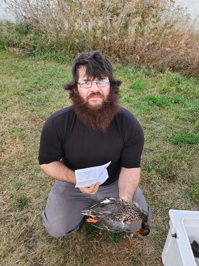Canard souchet