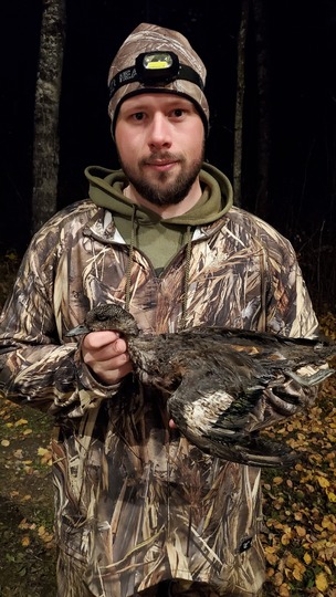 Canard siffleur d'Amérique
