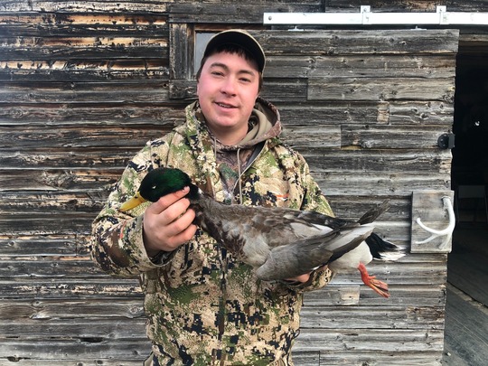 Canard colvert