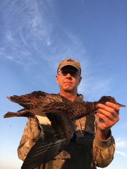 Canard chipeau