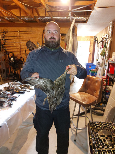 Canard souchet