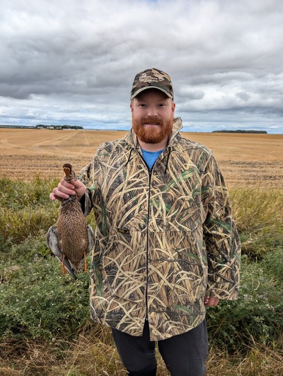 Canard souchet