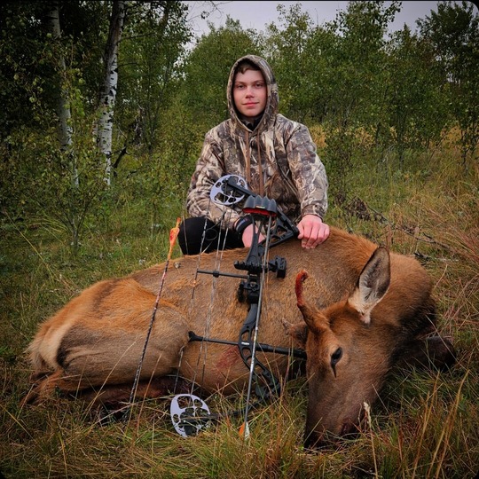 Wapiti