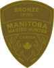 Insigne de bronze